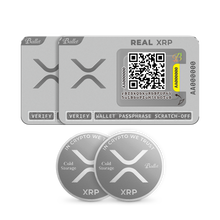 Load image into Gallery viewer, XRP Beginner